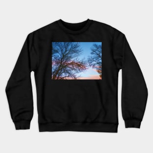 Photo of Leafless Branches Against Morning Sky Crewneck Sweatshirt